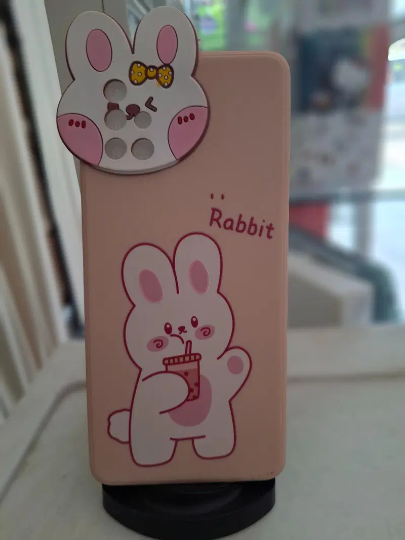 Case Caricatura